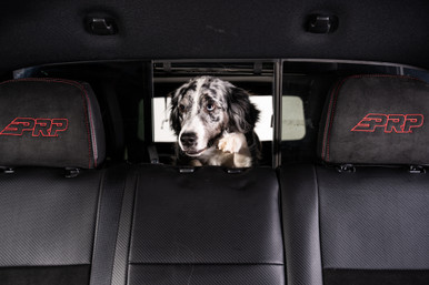 Softopper® Dog Window DIY Cutout Kit - Clear Short 2017-2025 Honda Ridgeline