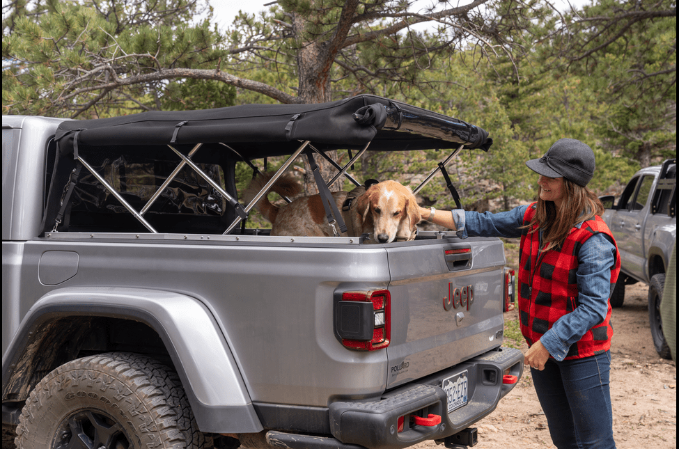 Tips N' Tricks: Safari Mode